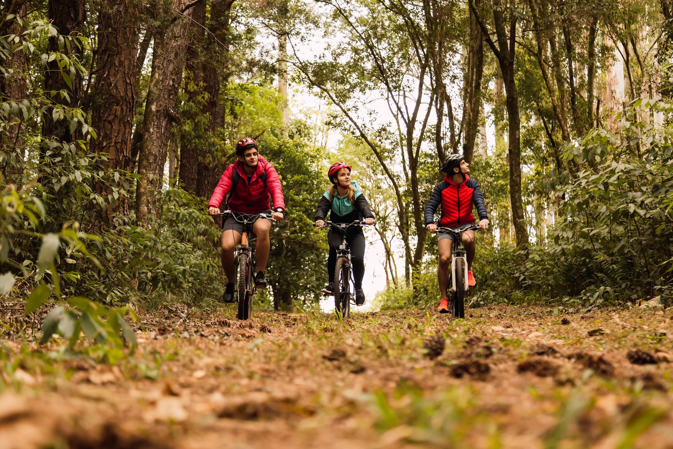 Pratique du VTT