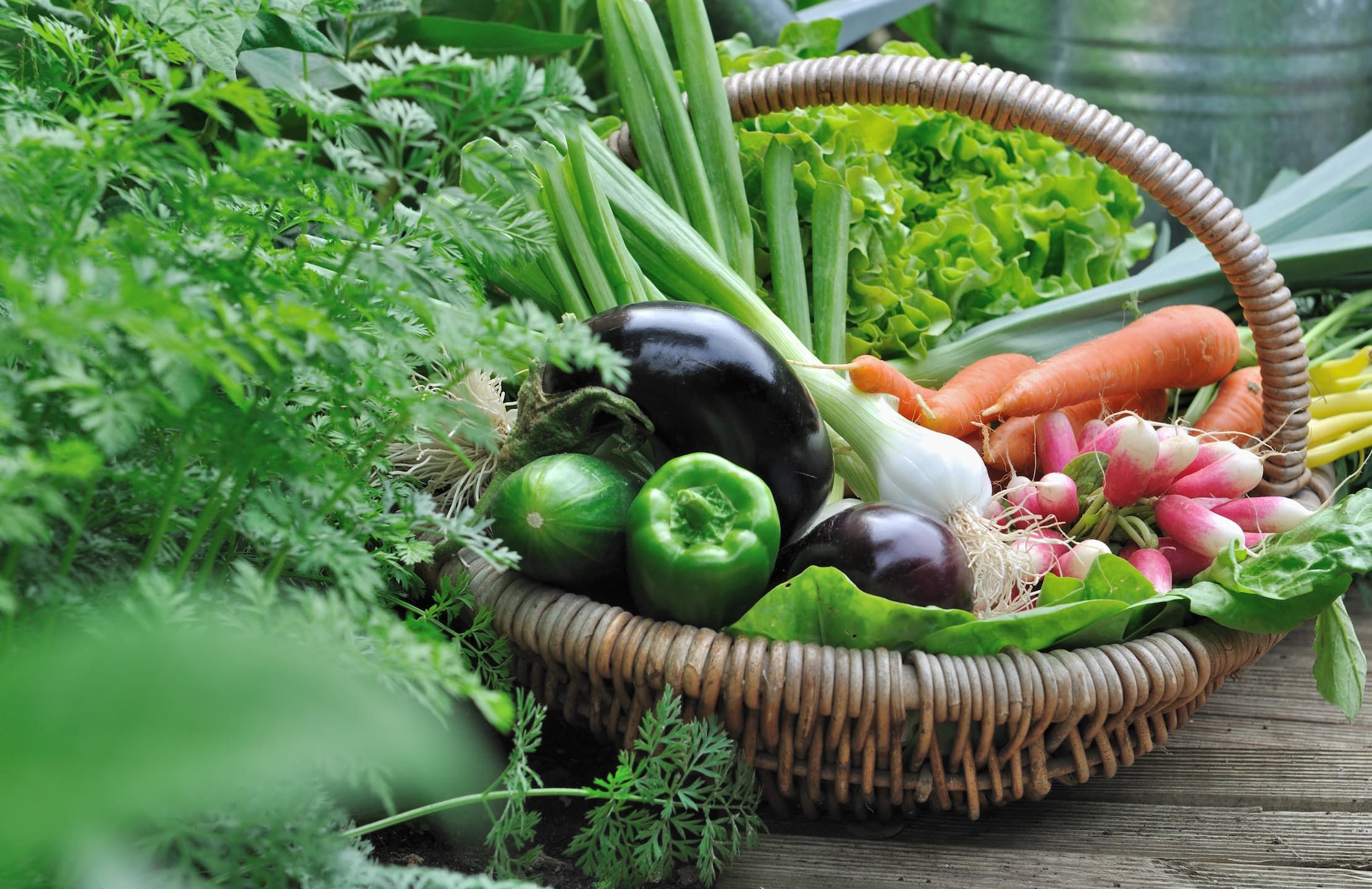 Panier de légumes