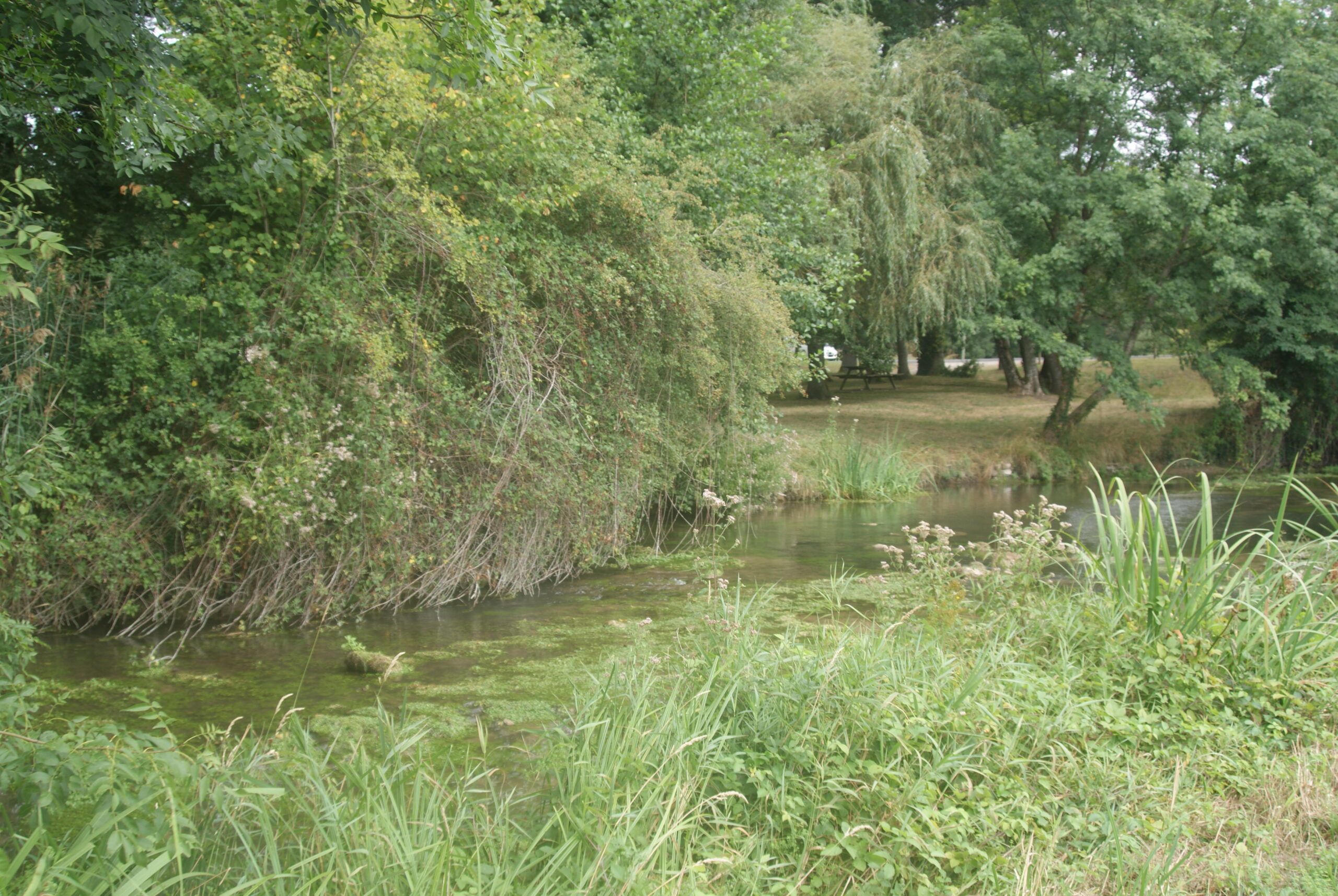 Découverte camping tourbières